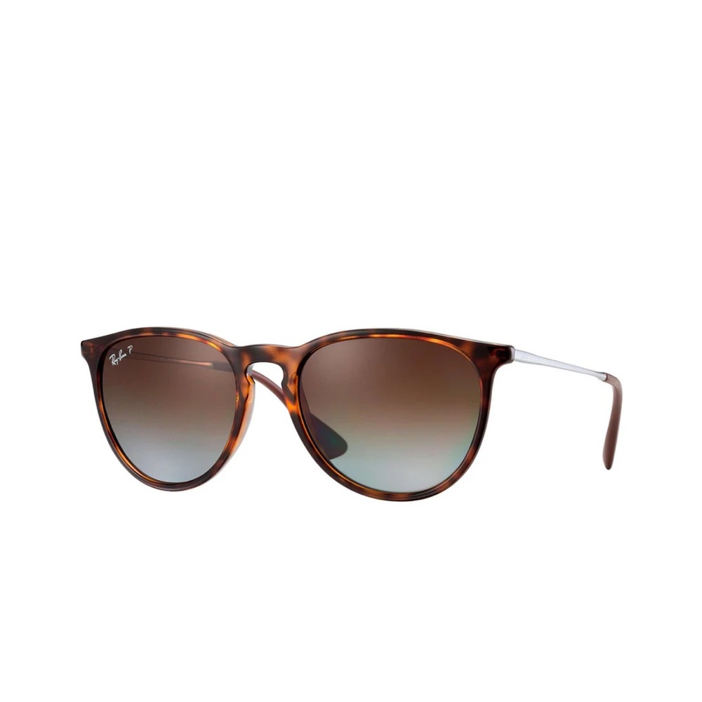 Rayban Erika Classic Sunglasses
